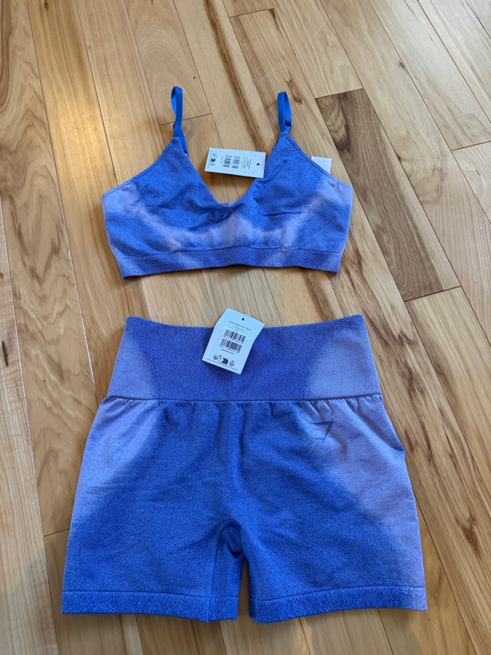 Gymshark Blue to Lavender Ombre Seamless Sports Bra & High-Waist Shorts